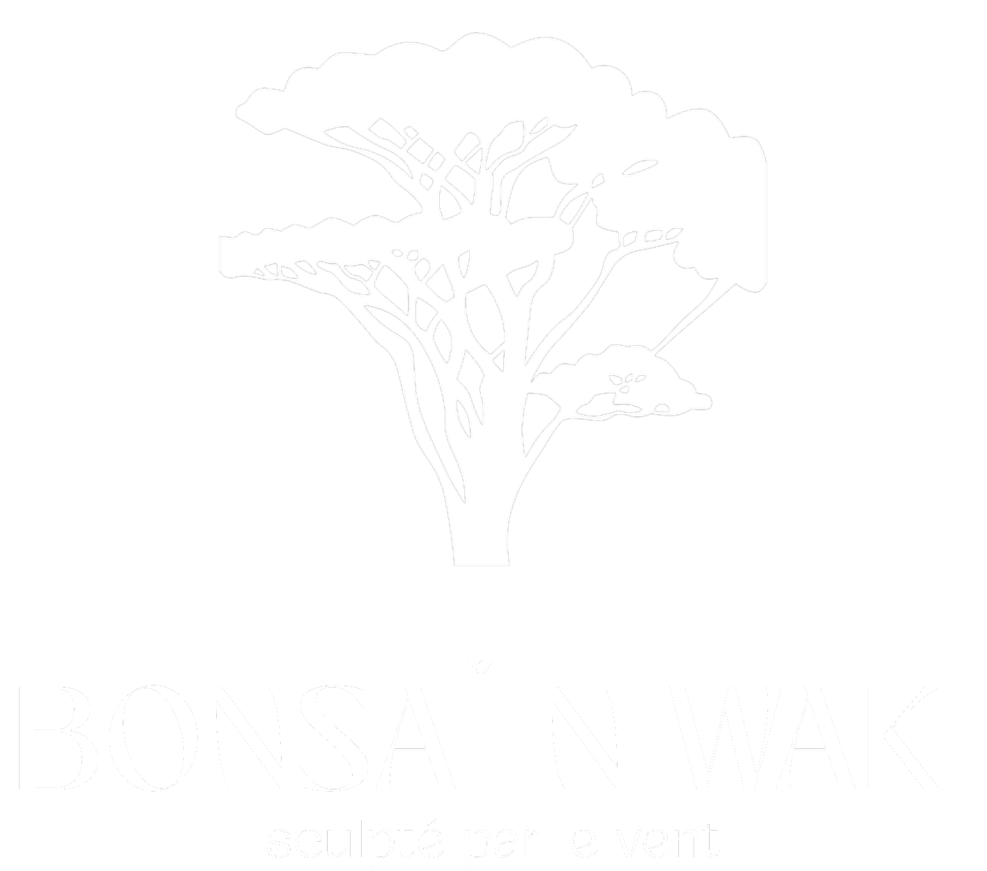 Bonsaï Niwaki — sculpté par le vent