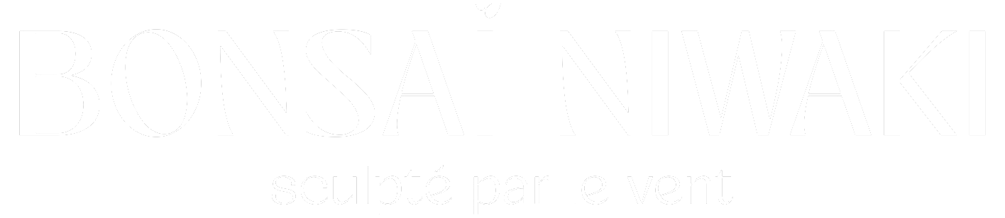 Bonsaï Niwaki — sculpté par le vent